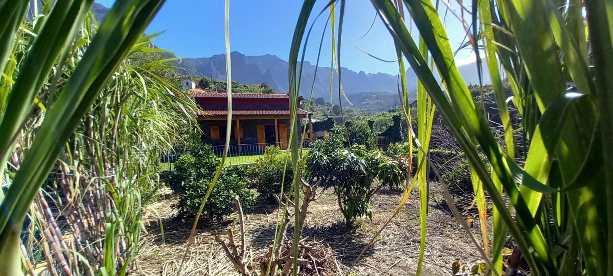 Villa Refugio Do Limoeiro à São Vicente Extérieur photo